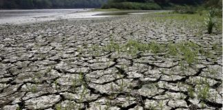 এল নিনো শুরু, আবহাওয়া হতে পারে চরম