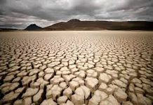 দাবদাহে গোটা বিশ্ব খাদ্য নিরাপত্তার ঝুঁকিতে